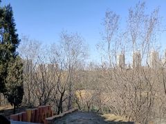 -森林公园(尖草坪区)
