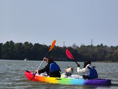 -上海海湾国家森林公园