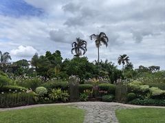 -新加坡植物园