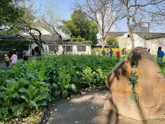 -绍兴鲁迅故里·沈园景区