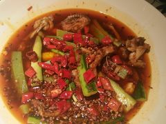 泉水哇-绿茶餐厅(布吉万象汇店)