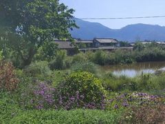 -西昌邛海湿地