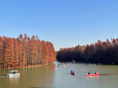 -上海海湾国家森林公园