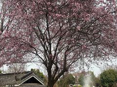 -武汉紫薇都市田园