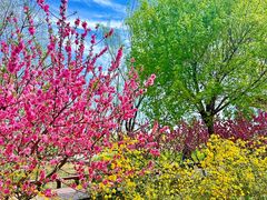 -永定河休闲森林公园