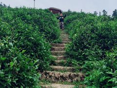 -心无尘茶餐馆(径山村店)