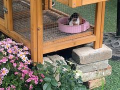 -HERRE·FARM 赫尔露营农场·团建聚会包场