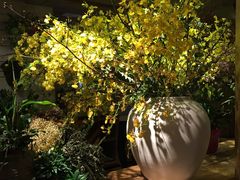 -春暖花开(西溪店)