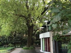 -申粤轩酒楼·三十年粤菜经典(丁香花园店)