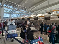 -约翰·菲茨杰拉德·肯尼迪国际机场