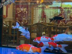 -东来菜馆•手抓海鲜家常菜•海鲜锅贴(鸽子窝店)
