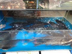-浔味·山屿湖·正宗淳牌全鱼宴老字号
