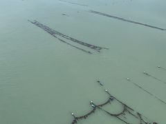 -大京沙滩