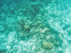 -东姑阿都拉曼海洋公园