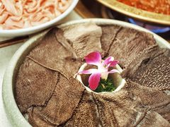 Plus鲜毛肚-矮冬瓜红茶火锅
