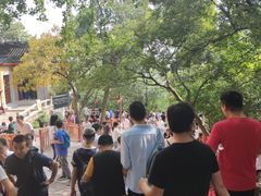 -灵岩山风景区