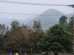 -丹山赤水风景名胜区