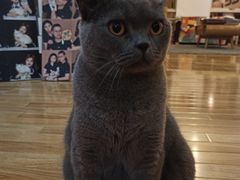 -壹人壹像工作室(购物公园店)