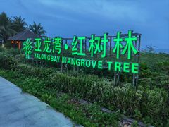 -亚龙湾红树林度假酒店御粤阁
