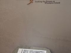 -长洲岛