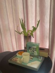 -奥本科技美肤·养生SPA