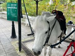 -J Create城市露营咖啡·简餐·宠物(上海动物园店)