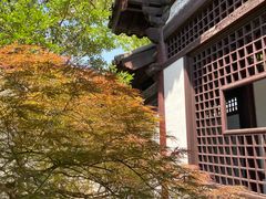 -常熟方塔园