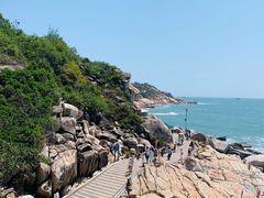 -广东惠东海龟国家级自然保护区