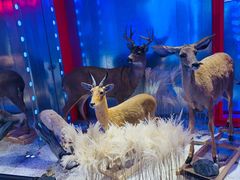 -凯德广场(武胜路店)