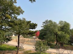 -北京西山国家森林公园