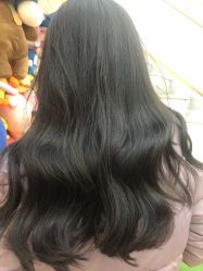 -YESIDO椰岛造型