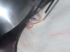 -煲大王猪肚鸡·椰子鸡火锅(红谷滩万达店)