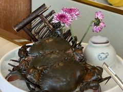 泰国大肉蟹-阿杜打边炉(五江天街店)
