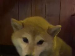 -猫员外精酿啤酒馆(聚豪园店)