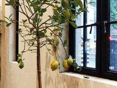 -Fridi Patisserie Cafe