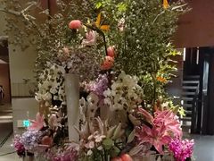-浅深Cheersum(曹杨店)