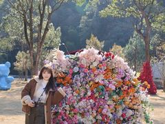 -龙湾潭国家森林公园