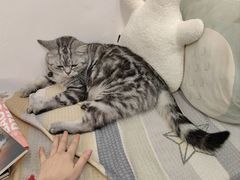 -伽利略剧本探案馆(国贸店)