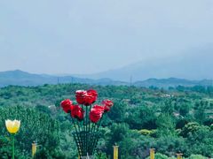 -密云玫瑰情园
