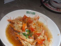 -新白鹿餐厅(金鹰新街口店)
