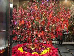 -雍景湾大酒楼(怡翠花园店)