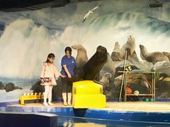 -梦幻海洋王国(吾悦广场张家港店)
