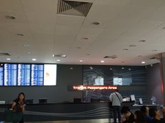 -谢列梅捷沃国际机场