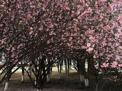 -苏州工学院(东湖校区)