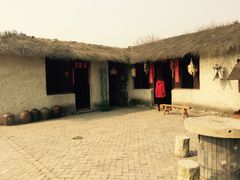 -溱湖国家湿地公园