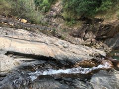 -广州白江湖森林公园