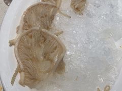 -红鼎坊·老成都火锅(新南门店)