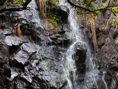 -马峦山郊野公园
