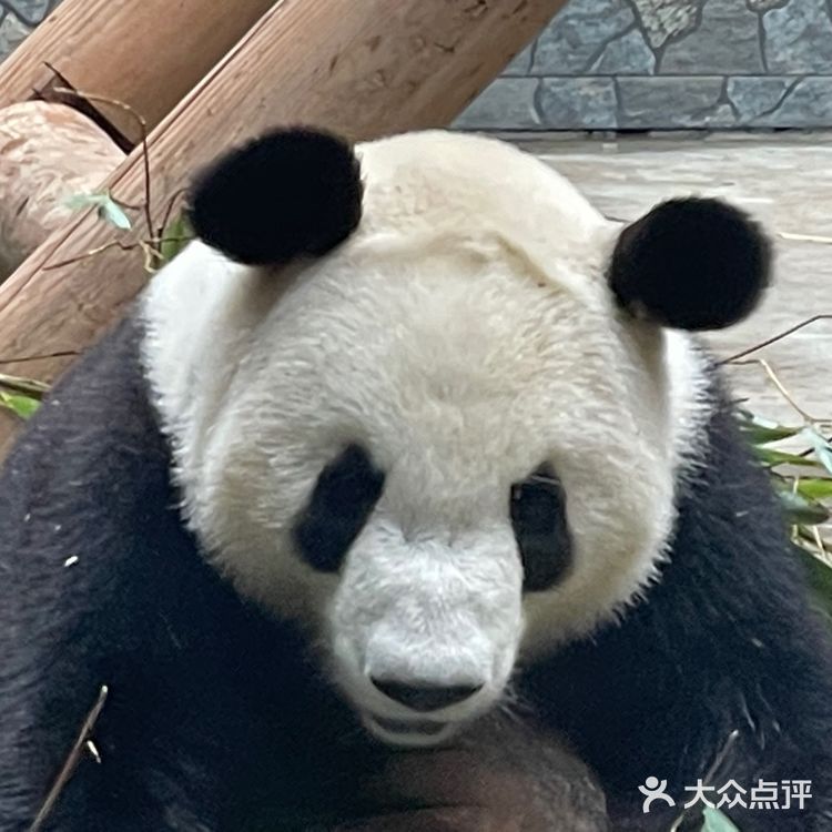 淡季的野生动物园还是不错的选择