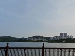 -水濂山森林公园